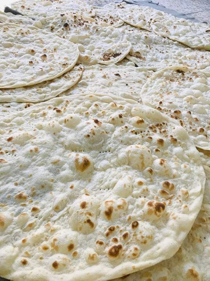 عکس گالری بوشهر؛نون محلی