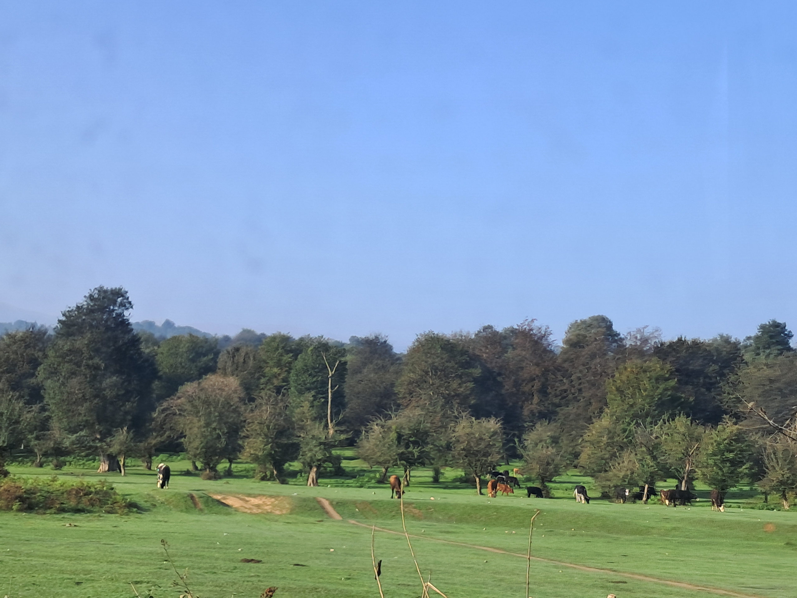 عکس گالری شمال