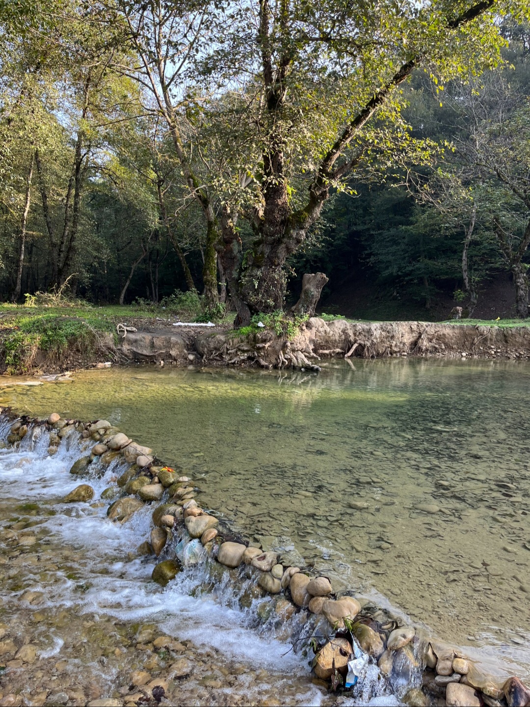 عکس گالری شمال