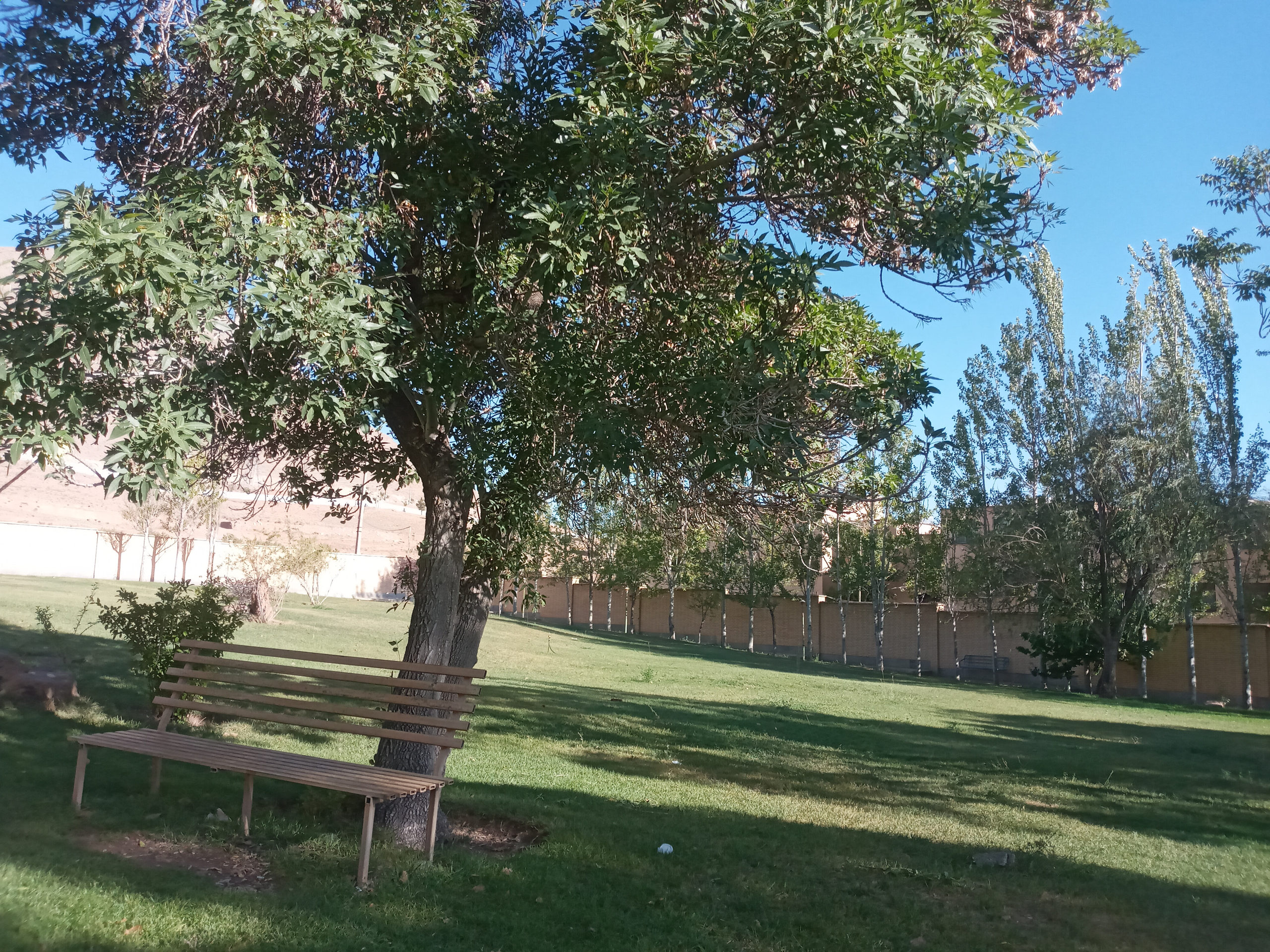 عکس گالری از این نیمکت میخوانمت