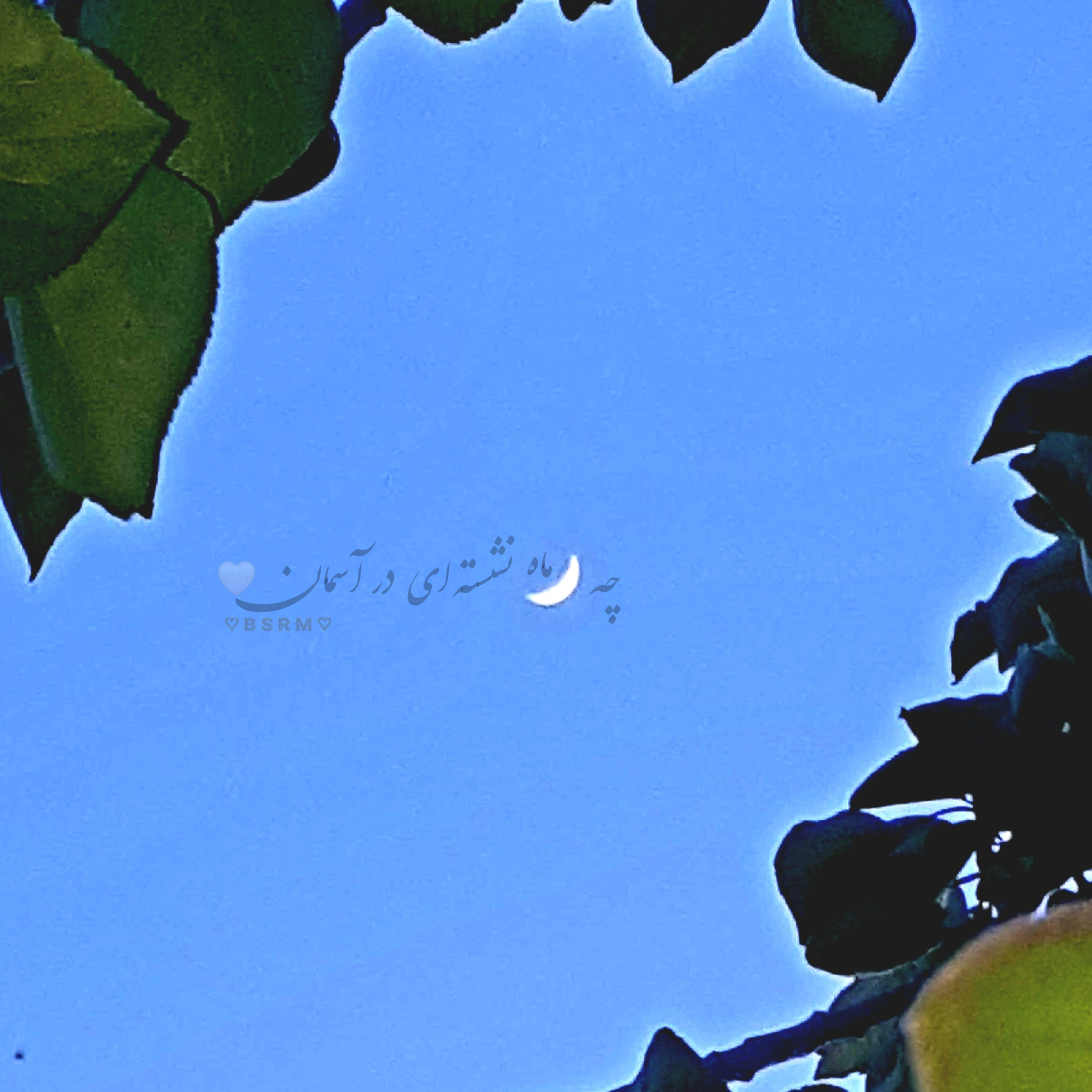 عکس گالری شبی از شب های شمال🤪