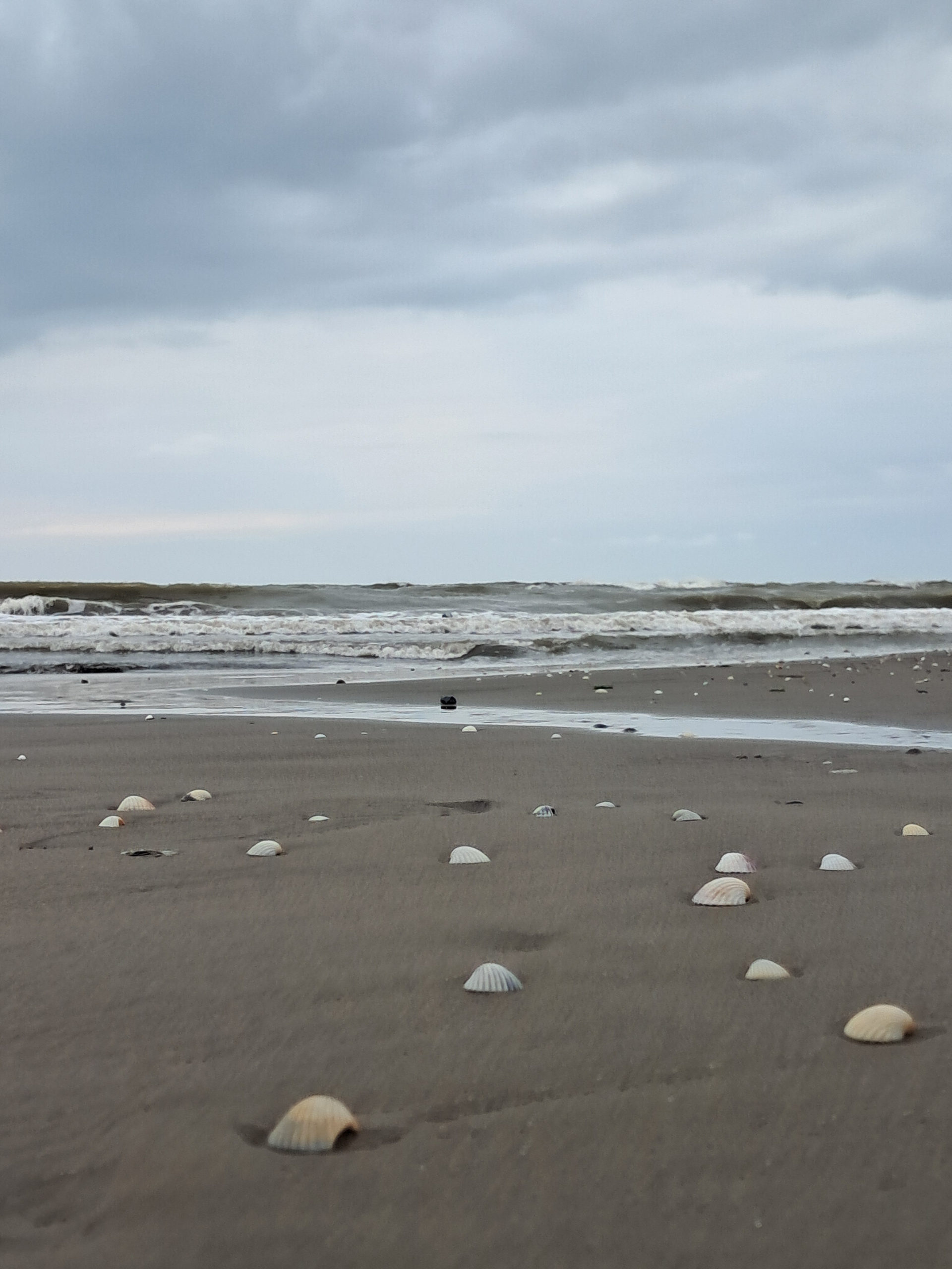 عکس گالری بابلسر