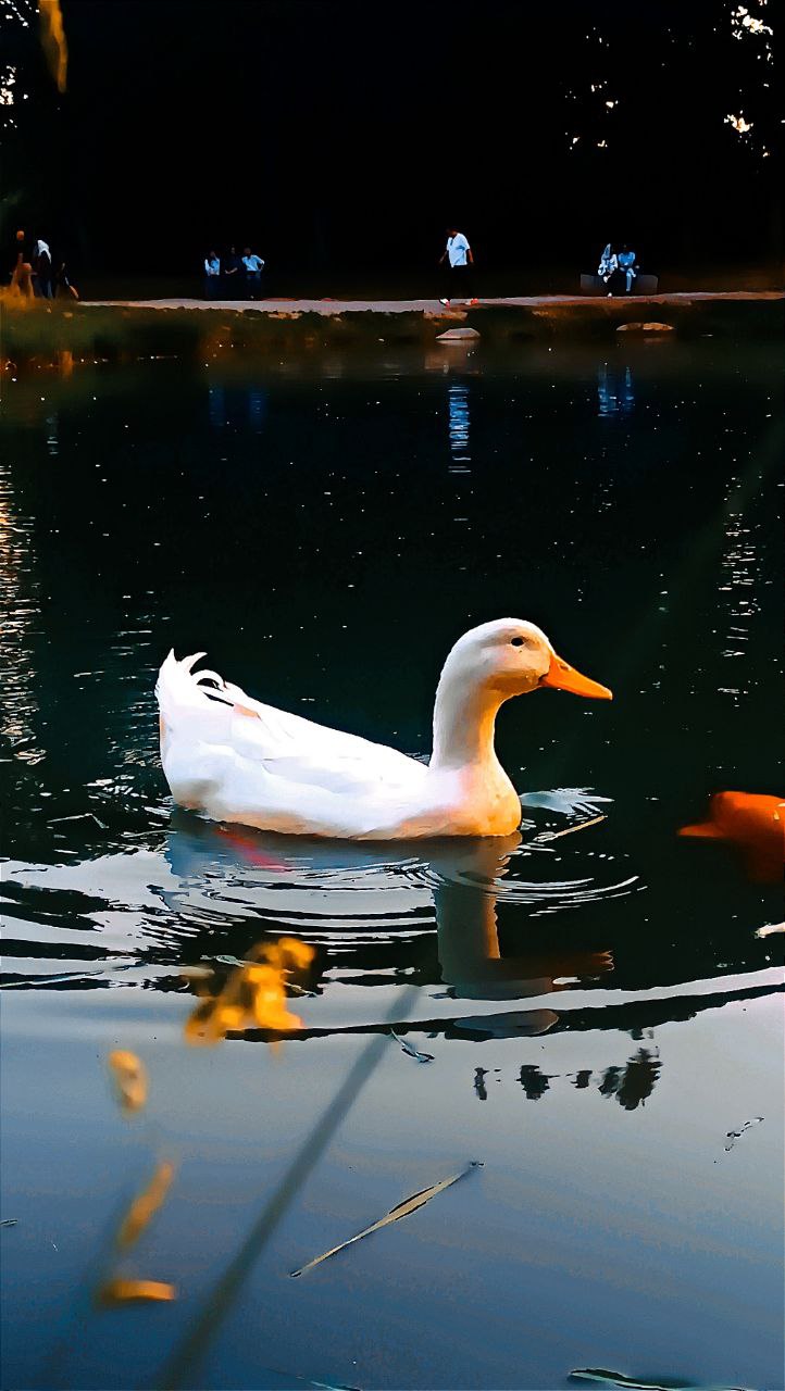 عکس گالری کرمانشاه